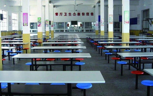 增城公辦中小學食堂中餐服務現(xiàn)狀與展望