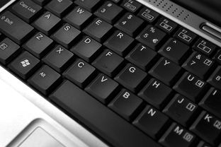 指尖上的互聯(lián)時(shí)代 鍵盤與筆記本電腦的線上購物新篇章